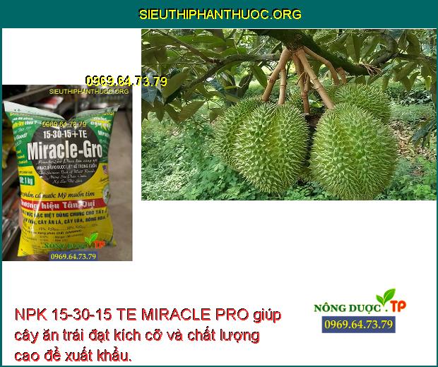 NPK 15-30-15 TE MIRACLE PRO giúp cây ăn trái đạt kích cỡ và chất lượng cao để xuất khẩu.
