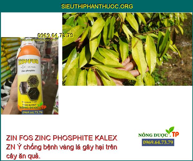 ZIN FOS ZINC PHOSPHITE KALEX ZN Ý chống bệnh vàng lá gây hại trên cây ăn quả.