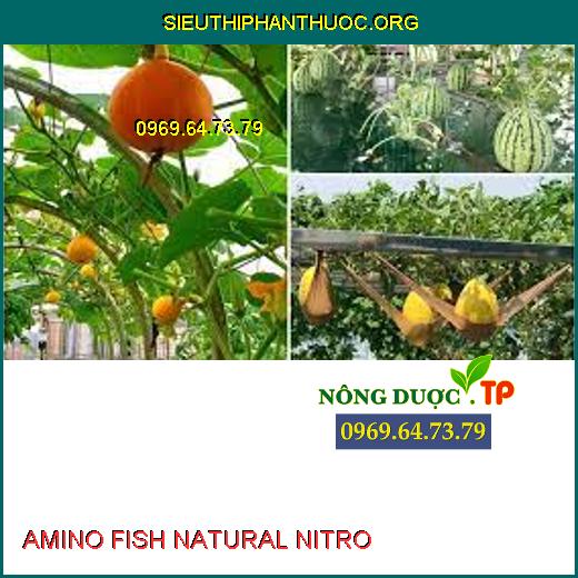 AMINO FISH NATURAL NITRO