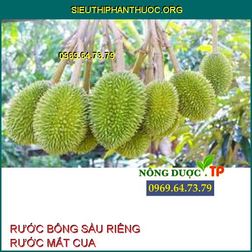 RƯỚC BÔNG SẦU RIÊNG RƯỚC MẮT CUA 