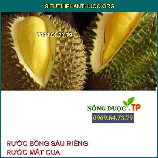 RƯỚC BÔNG SẦU RIÊNG RƯỚC MẮT CUA 