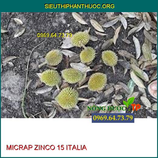 MICRAP ZINCO 15 ITALIA