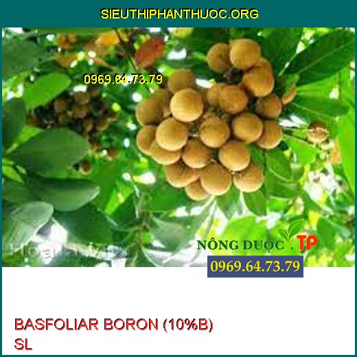 BASFOLIAR BORON (10%B) SL