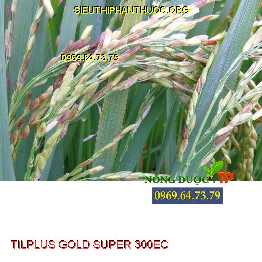 TILPLUS GOLD SUPER 300EC 