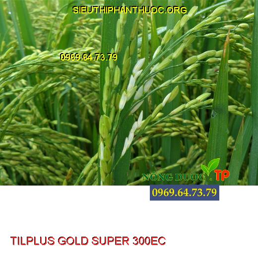 TILPLUS GOLD SUPER 300EC 