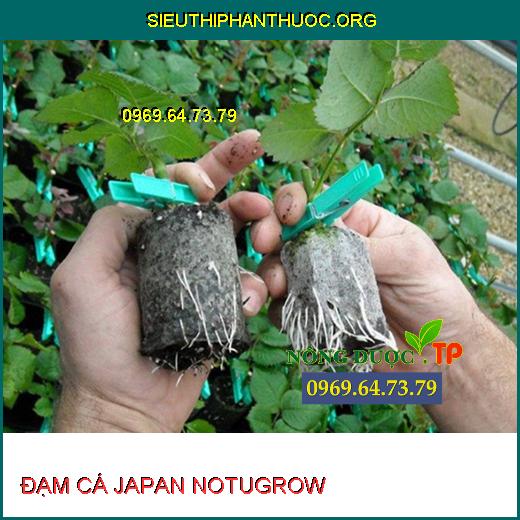 ĐẠM CÁ JAPAN NOTUGROW