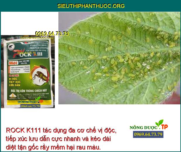 ROCK K111 - Đặc Trị Côn Trùng Hút Chích Nhện Đỏ, Rầy Nâu, Bọ Trĩ - SIÊU ...
