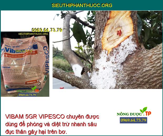 VIBAM 5GR VIPESCO