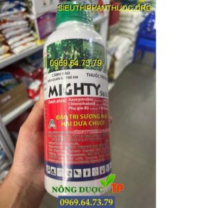 MIGHTY 560SC- Đặc Trị Sương Mai Hại Dưa Chuột