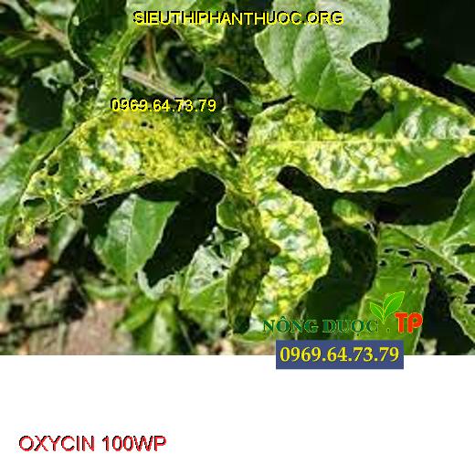 OXYCIN 100WP