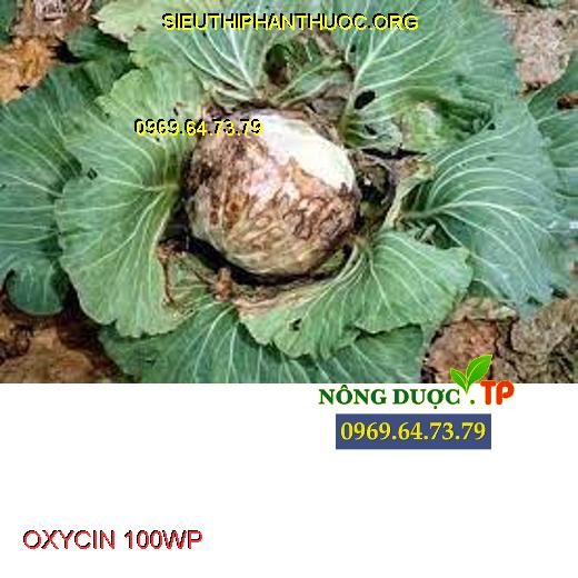 OXYCIN 100WP