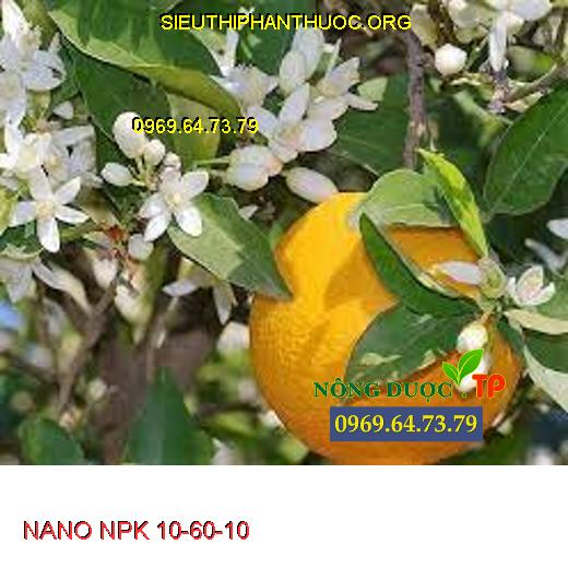 NANO NPK 10-60-10 