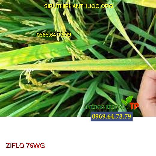 ZIFLO 76WG - Đặc Trị Nấm , Thán Thư, Đốm Lá, Đốm Vòng, Sương Mai