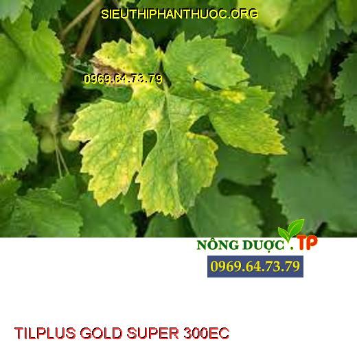 TILPLUS GOLD SUPER 300EC 