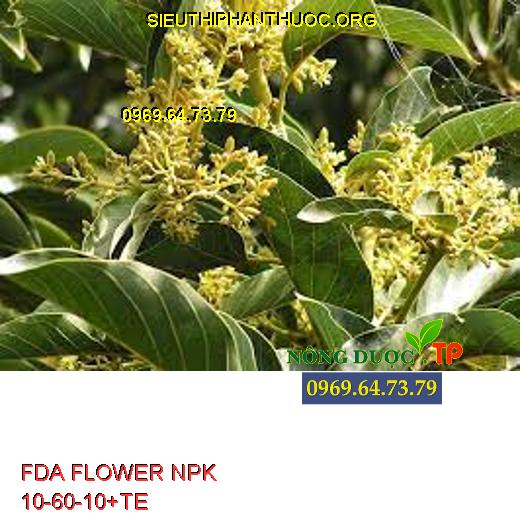 FDA FLOWER NPK 10-60-10+TE 