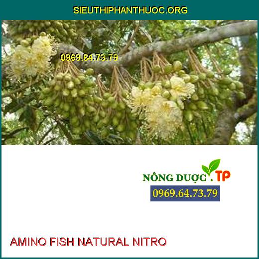 AMINO FISH NATURAL NITRO