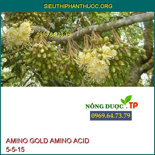 AMINO GOLD AMINO ACID 5-5-15 