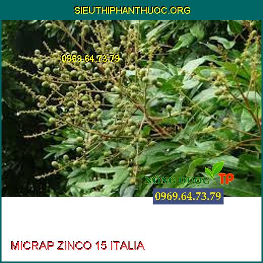 MICRAP ZINCO 15 ITALIA 