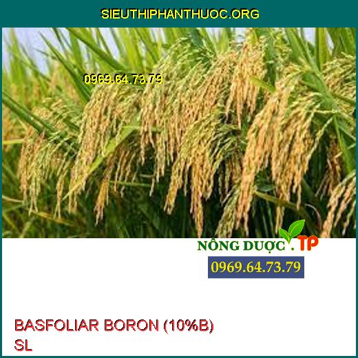BASFOLIAR BORON (10%B) SL