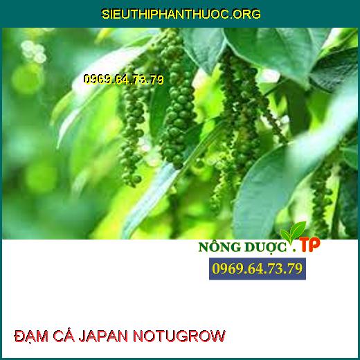 ĐẠM CÁ JAPAN NOTUGROW