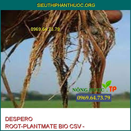 DESPERO ROOT-PLANTMATE BIO CSV - Đâm Chồi, Bung Đọt