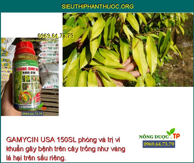 GAMYCIN USA 150SL