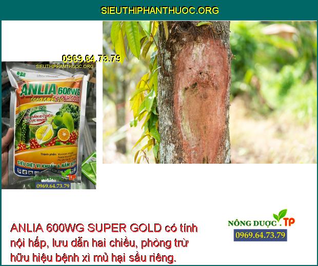 ANLIA 600WG SUPER GOLD