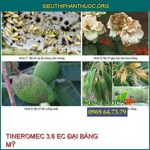 TINEROMEC 3.6 EC ĐẠI BÀNG MỸ