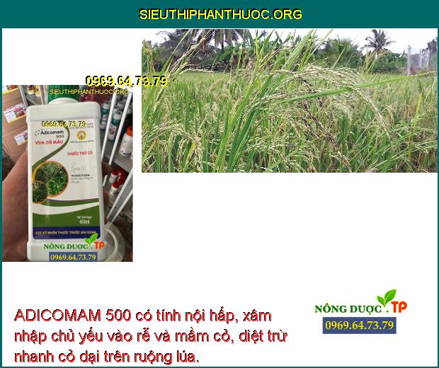 ADICOMAM 500