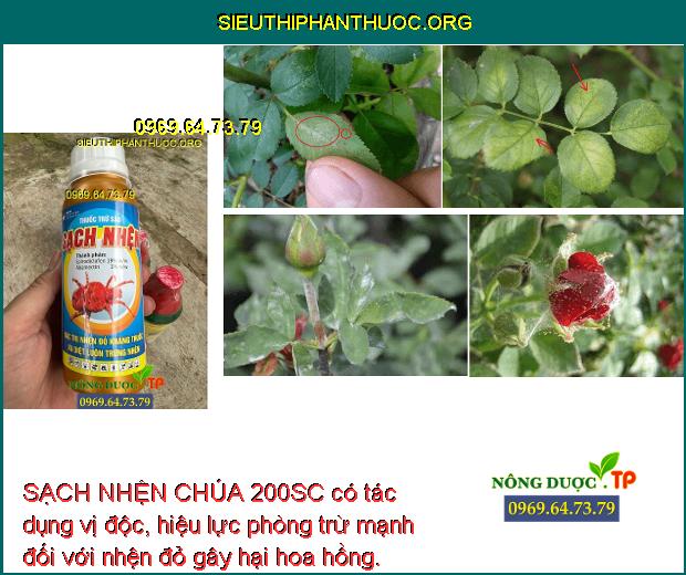 SẠCH NHỆN CHÚA 200SC