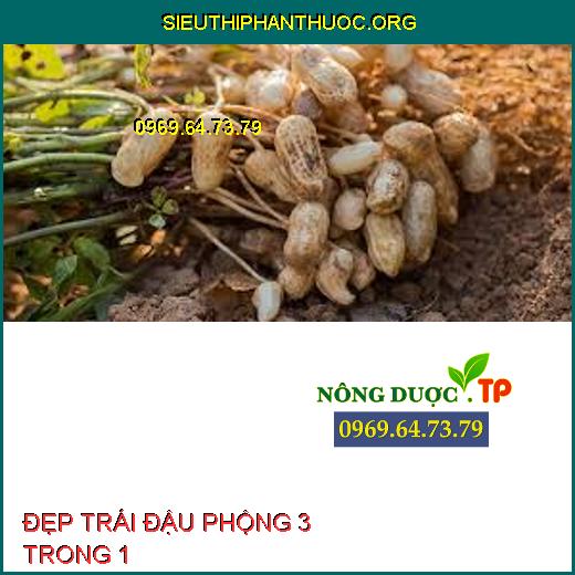 ĐẸP TRÁI ĐẬU PHỘNG 3 TRONG 1