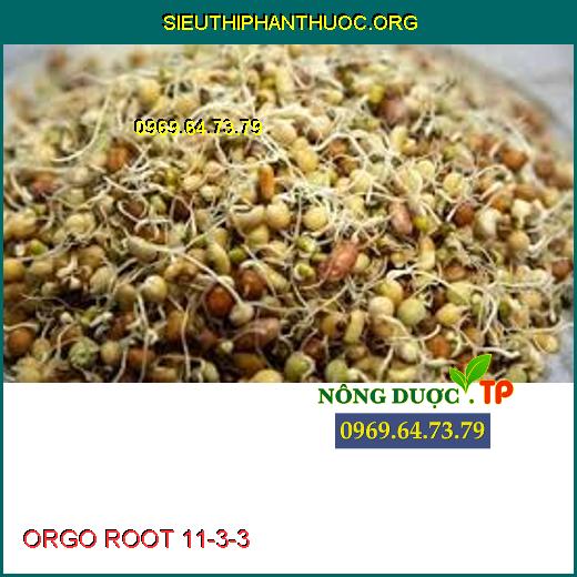 ORGO ROOT 11-3-3