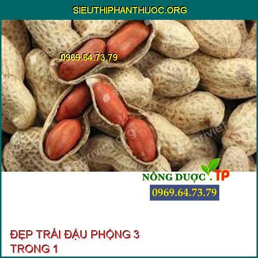 ĐẸP TRÁI ĐẬU PHỘNG 3 TRONG 1