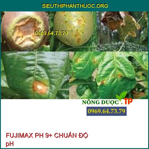 FUJIMAX PH 9+ CHUẨN ĐỘ pH