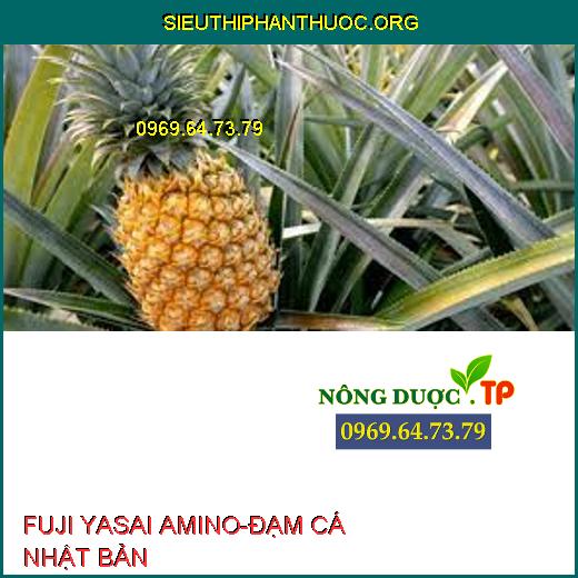 FUJI YASAI AMINO-ĐẠM CÁ NHẬT BẢN