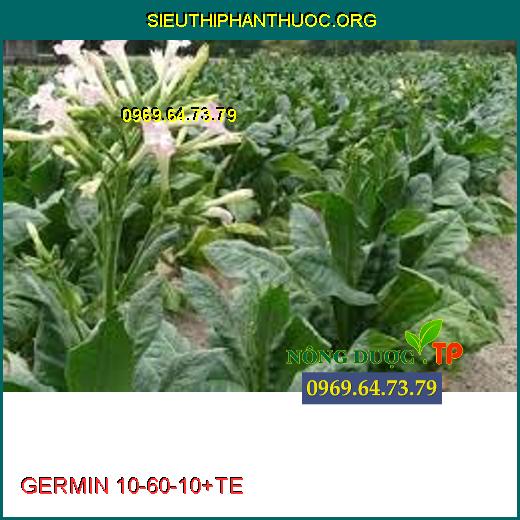 GERMIN 10-60-10+TE