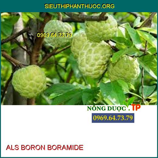 ALS BORON BORAMIDE 