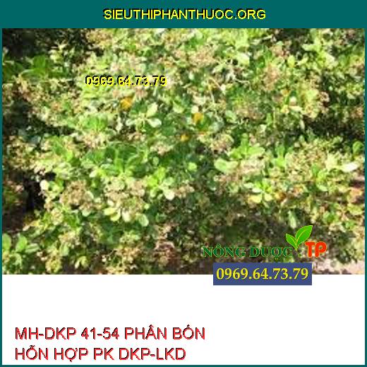 MH-DKP 41-54 PHÂN BÓN HỖN HỢP PK DKP-LKD 