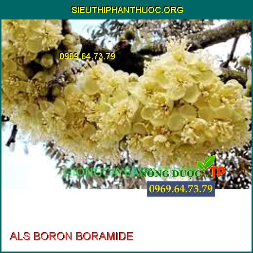 ALS BORON BORAMIDE 