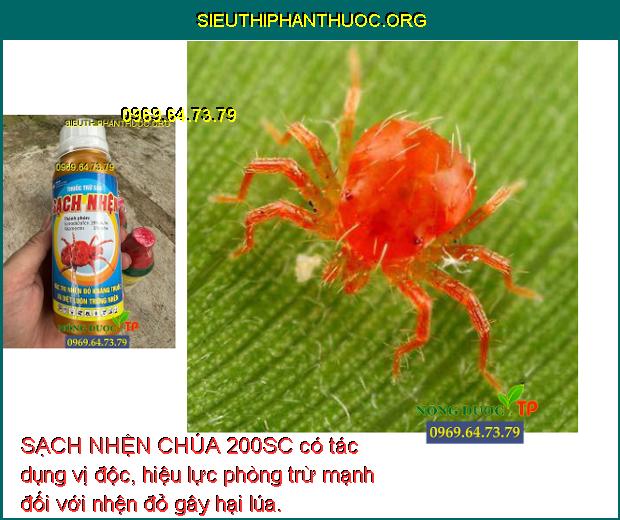 SẠCH NHỆN CHÚA 200SC