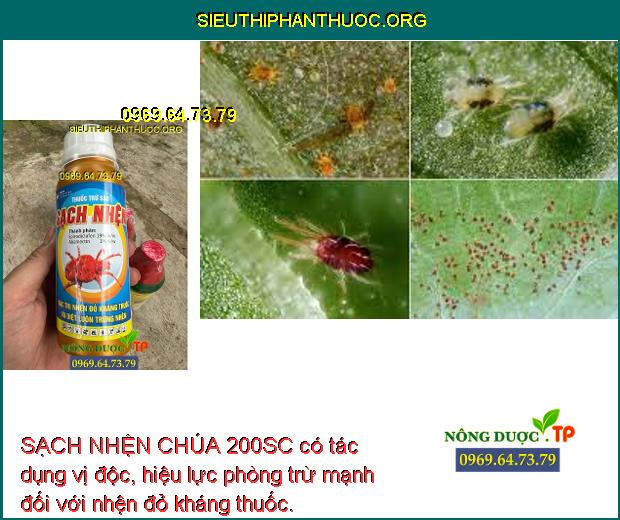 SẠCH NHỆN CHÚA 200SC