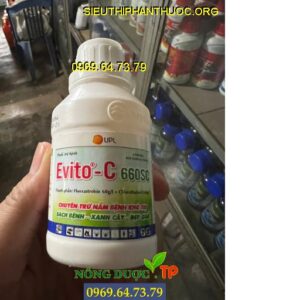 EVITO-C 660SC - Đặc Trị Nấm Bệnh, Xanh Cây, Đẹp Quả, Đốm Nâu Trên Thanh Long
