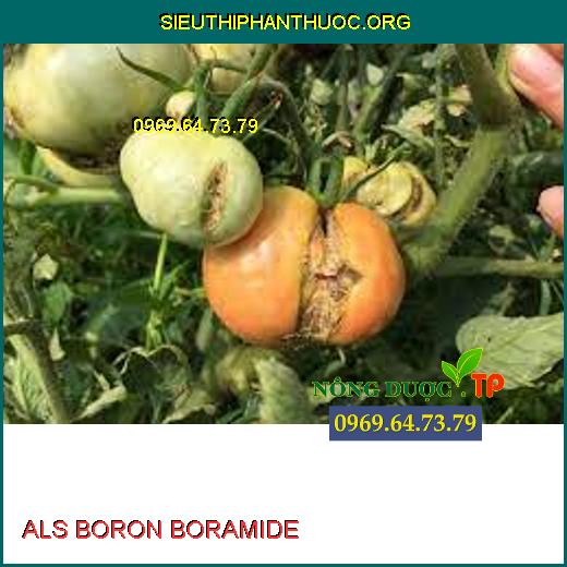 ALS BORON BORAMIDE 