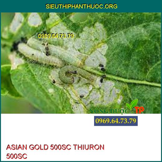 ASIAN GOLD 500SC THIURON 500SC