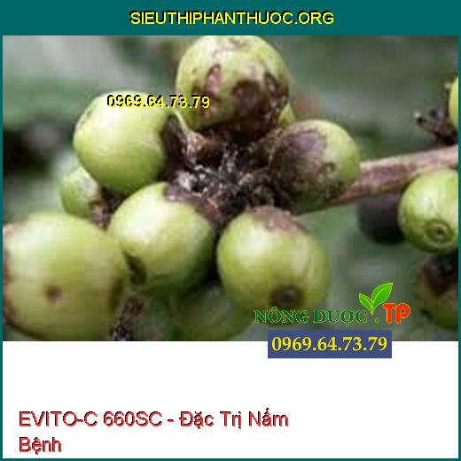 EVITO-C 660SC - Đặc Trị Nấm Bệnh