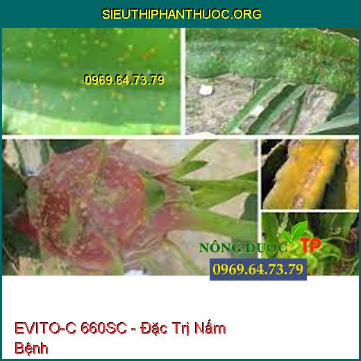 EVITO-C 660SC - Đặc Trị Nấm Bệnh