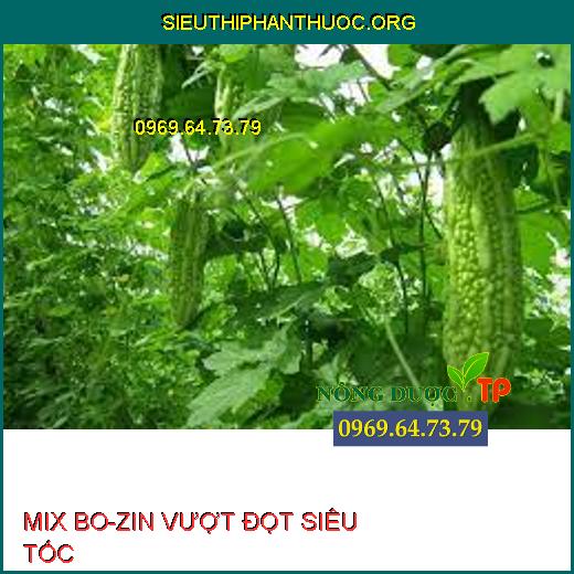 MIX BO-ZIN VƯỢT ĐỌT SIÊU TỐC 