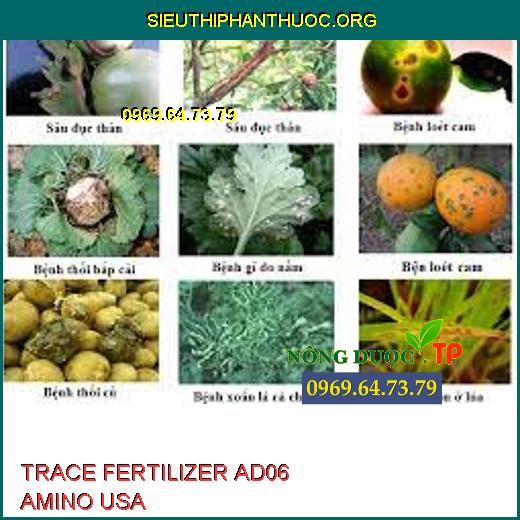 TRACE FERTILIZER AD06 AMINO USA