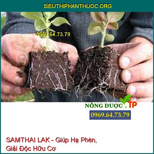 SAMTHAI LAK - Giúp Hạ Phèn, Giải Độc Hữu Cơ