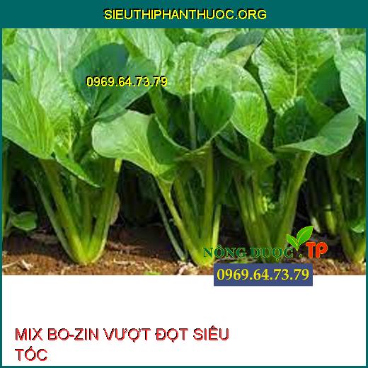 MIX BO-ZIN VƯỢT ĐỌT SIÊU TỐC 